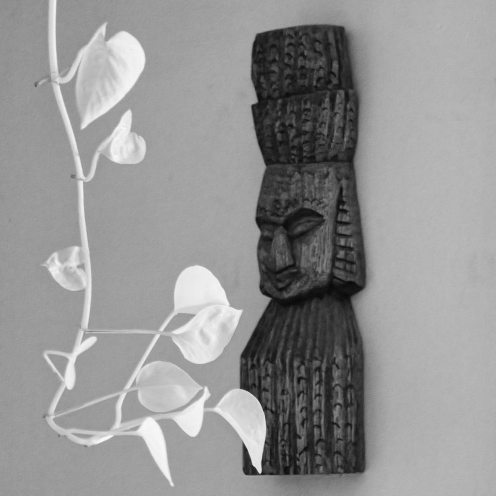 Black and White Old Wood carving with a money plant